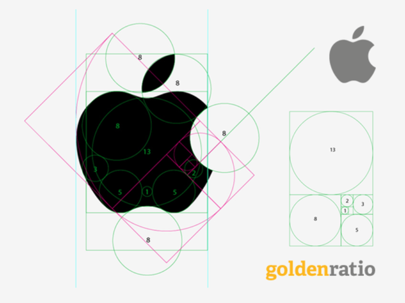 The Importance Of The Golden Ratio In Design