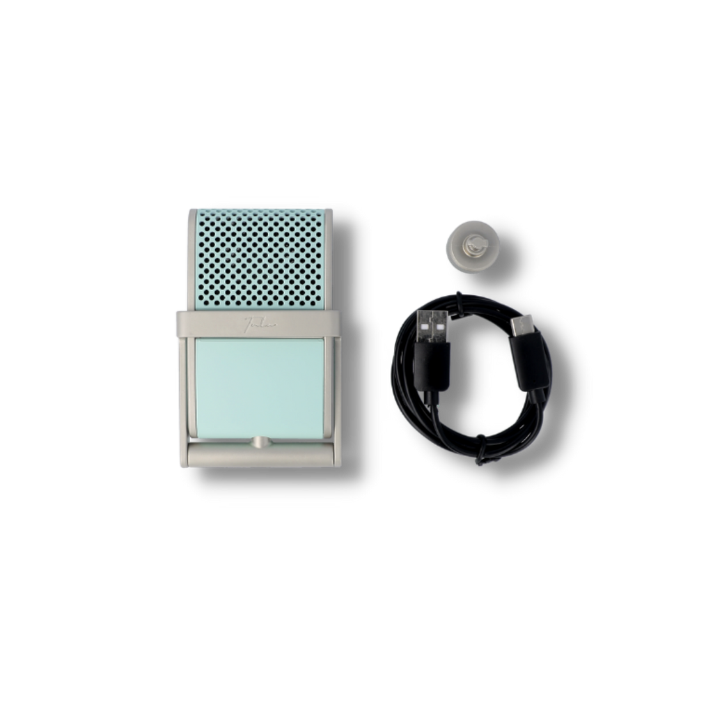 DTM・DAW TULA Tula Microphones Tula Mic The Tula Mic - black